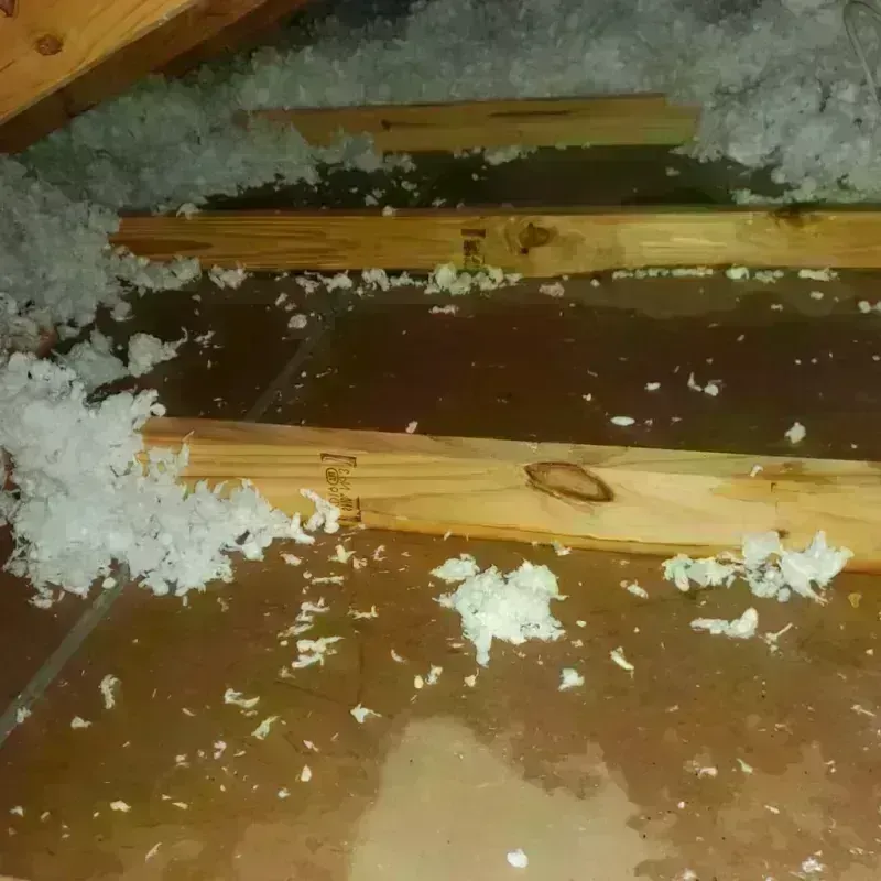 Attic Water Damage in Tazewell County, IL