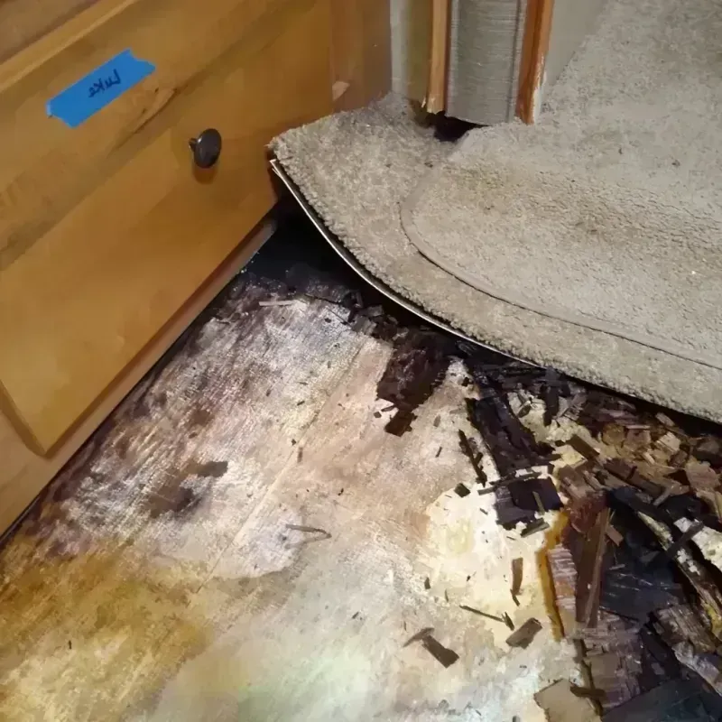 Best Wood Floor Water Damage Service in Tazewell County, IL